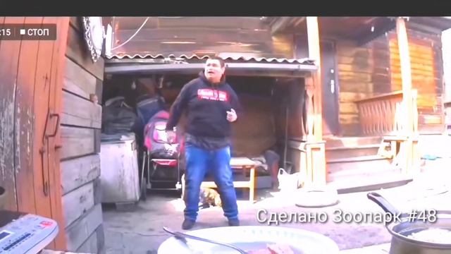 Руслан Гительман, танец и песня про колбасу. смотреть онлайн