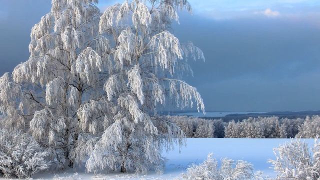 ТРОГАТЕЛЬНАЯ ИСТОРИЯ. Старые письма. Короткий рассказ смотреть онлайн