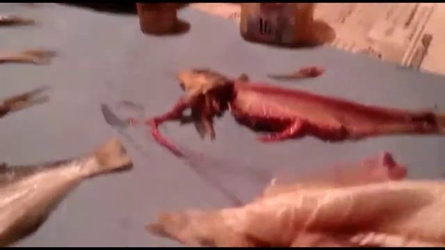 Как чистят рыбца на дону! смотреть онлайн