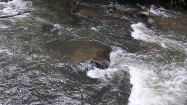 Мельбурн, до того, как ВСЁ Разрушилось - Австралия глазами Австралийца смотреть онлайн