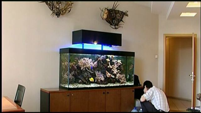 S02E18 HOMO AQUARIUS - Морская аквариумистика