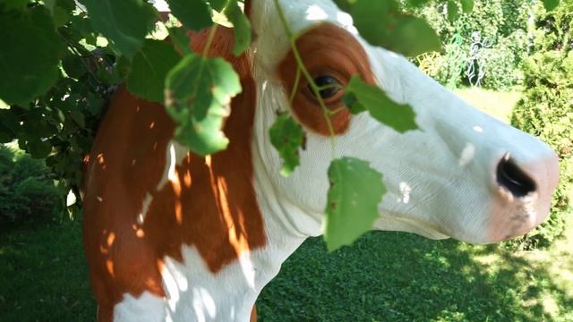 Садовые фигуры ХИТСАД * корова из стеклопластика * интернет магазин HiTSAD.RU смотреть онлайн