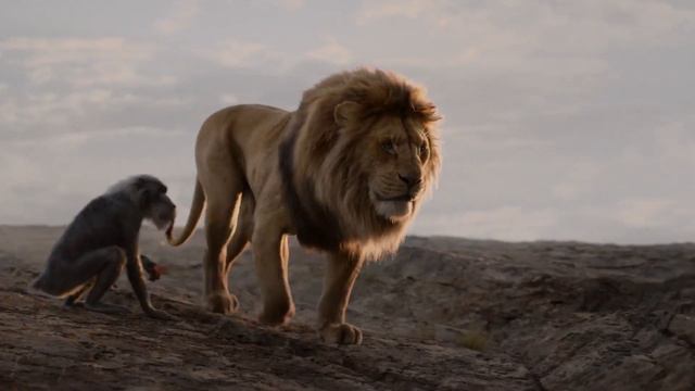 Lindiwe Mkhize, Lebo M - Circle Of Life