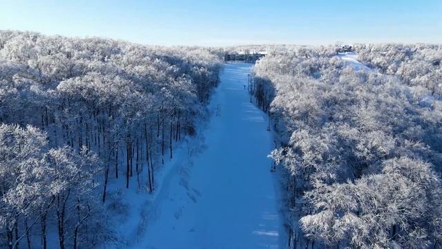 Зима приходит. Зимний лес с высоты. Смена времени года. Flying over the winter forest смотреть онлайн