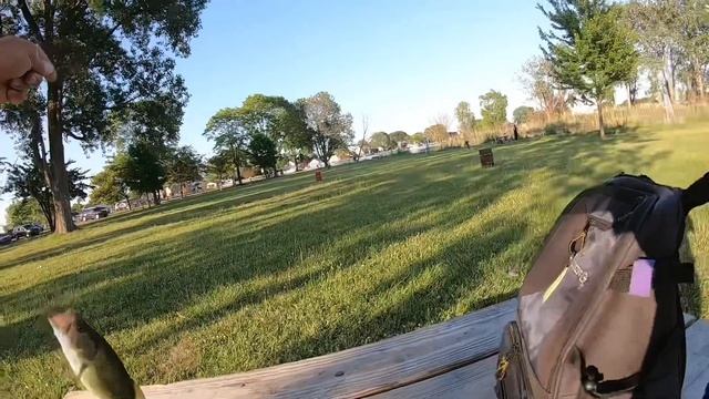 Don’t like fishing with live worms? Use the Berkley Gulp scented minnows.