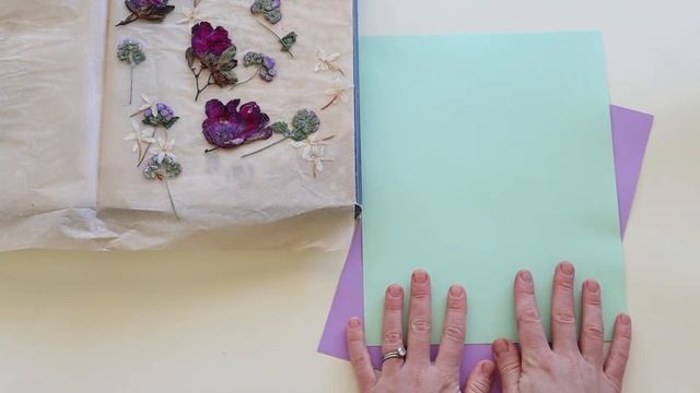 Outdoor Explorers Episode 4: Flower Power смотреть онлайн