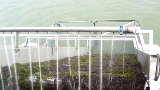 Italdraghe Harvester Trasimeno model смотреть онлайн