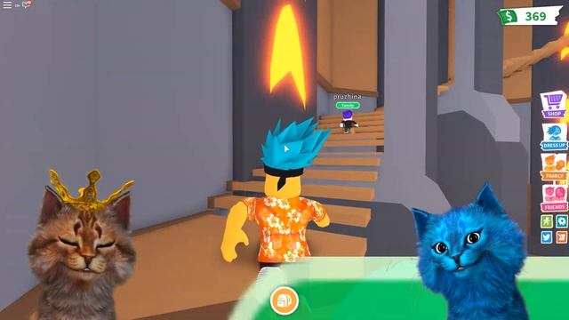 КОТЁНОК ЛАЙК И КИРИЛЛ МОИ ДЕТИ?! СЕМЬЯ ВЕСЁЛЫХ КОТИКОВ ROBLOX ADOPT ME смотреть онлайн