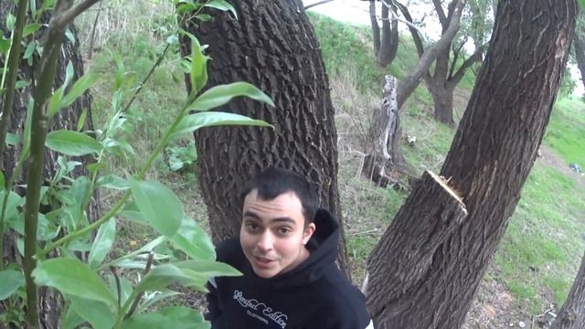 НИКОГДА НЕ ПОКУПАЙТЕ ПИТБАЙК