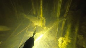 Осенняя подводная охота в ростовской области октябрь 2023 год Подводная охота 2023 ночная подводная