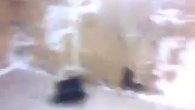 Dance Vedro смотреть онлайн