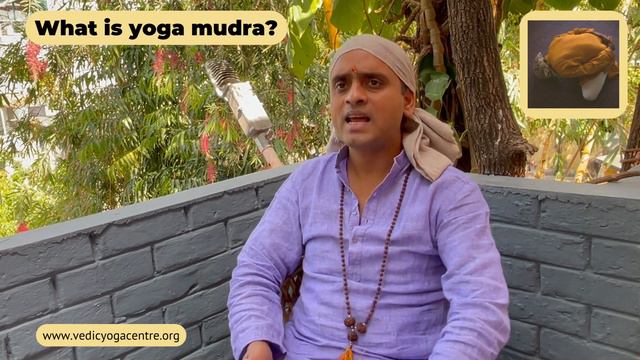 What is yoga mudra? Shailendra Singh Negi, Vedic Yoga Centre смотреть онлайн