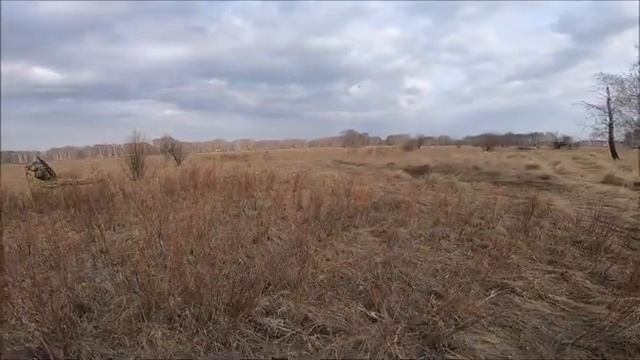 Духовые манки и махокрыл решают)))Охота на селезня кряквы 2021.Супер чехол для ружья! смотреть онлайн