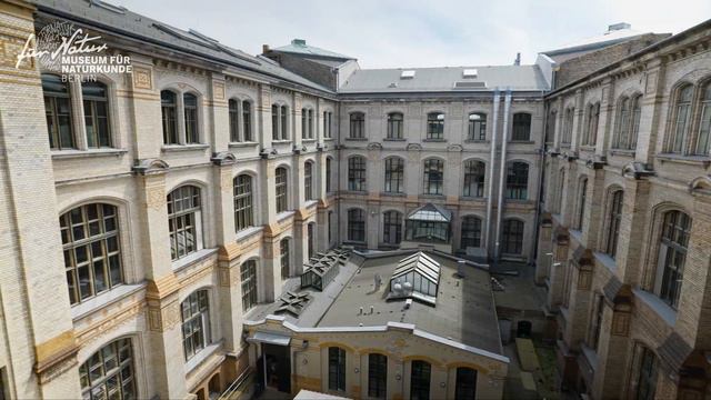 Naturkundemuseum in Bewegung: Unboxing statt Behind-the-scenes – Museums-Evolution смотреть онлайн
