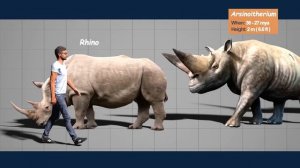 Size Comparison of Animals: the Prehistoric Mammals