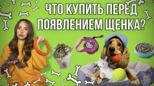 Что нужно купить перед появлением щенка? На основе книги «Гладь. Люби. Хвали».