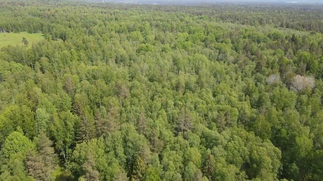 Участок 1.5 Га смотреть онлайн