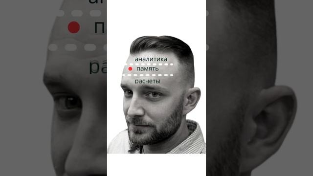 Как определить способность человека к запоминанию информации? смотреть онлайн