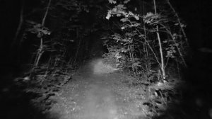 Страшные истории про лес тайгу и нечисть 16