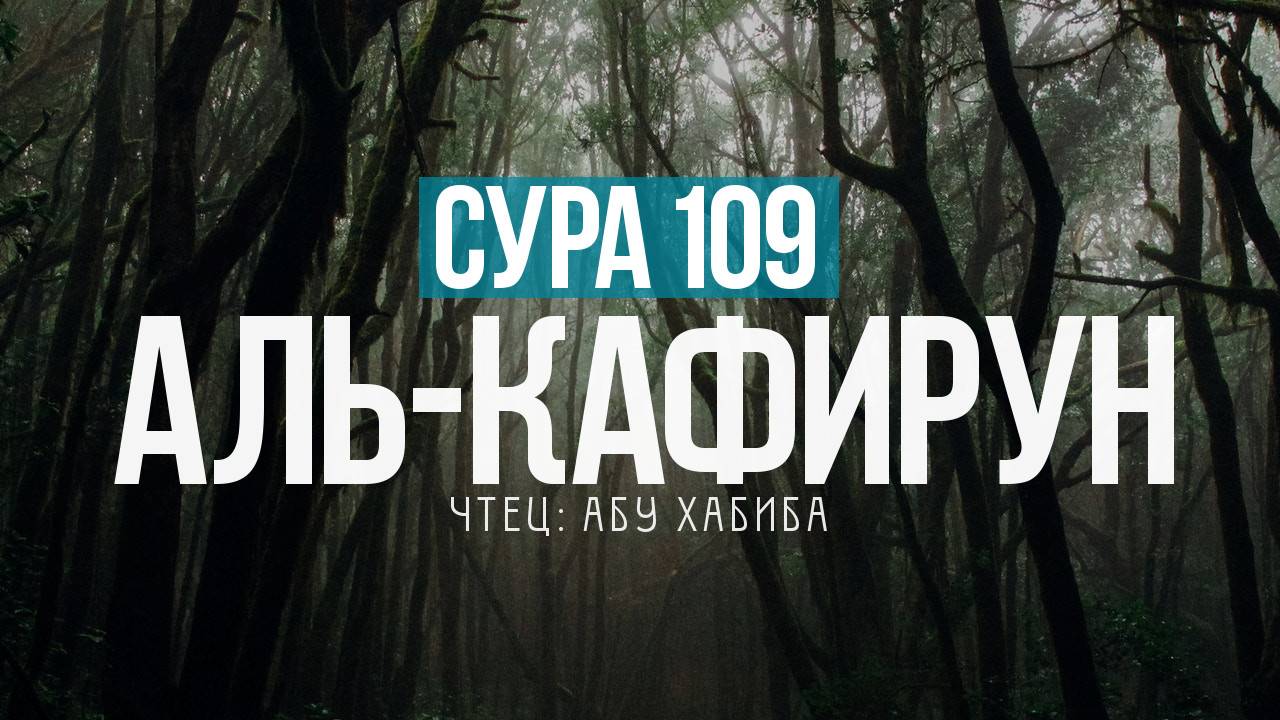 Сура 109 аль Кафирун (Неверующие) 7 раз Абу Хабиба