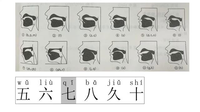 1.5 Сколько Вам лет? | Цифры | Прорабатываем звуки смотреть онлайн