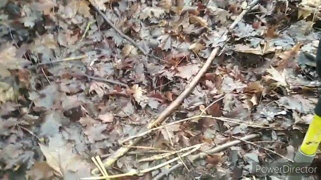 сбежал из дома покопать. #XPDeus#коп#находки смотреть онлайн