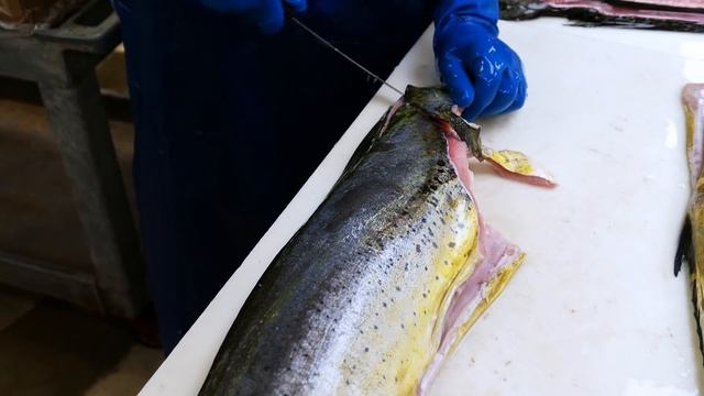 Miami Food - GIANT MAHI MAHI and GROUPER FISH Key Largo Fisheries Seafood Florida смотреть онлайн