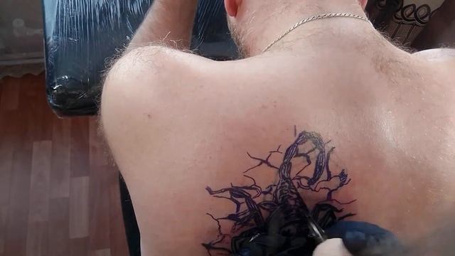 time lapse - перекрытие скорпиона смотреть онлайн