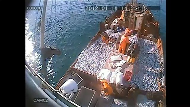 Видеокамеры МВК в море 2 смотреть онлайн