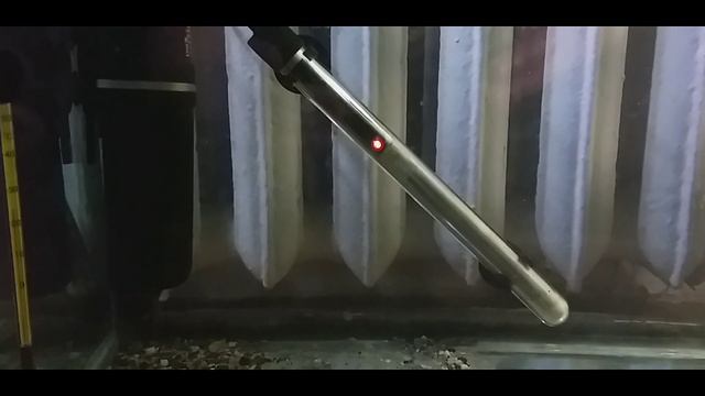 Попытка Спасения Акарыча ! Болезни аквариумных рыб . К верху брюшком смотреть онлайн