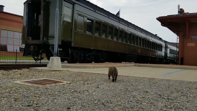 Felix the Cat at the Age of Steam Roundhouse смотреть онлайн