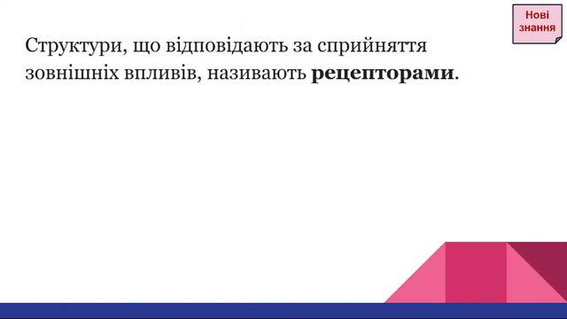 Принципи і механізми адаптації рослин / Екологія, 8 клас смотреть онлайн