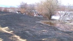 Ледоход на Лене