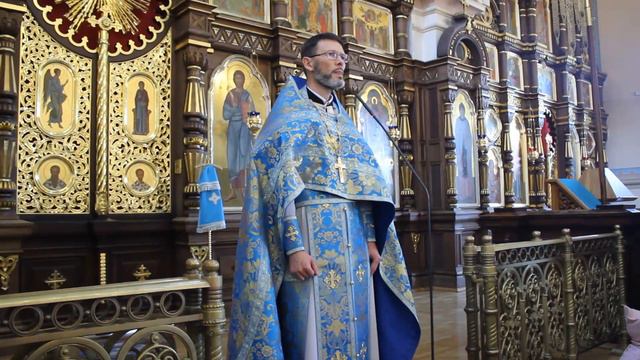 Проповедь в праздник Покрова Пресвятой Богородицы смотреть онлайн