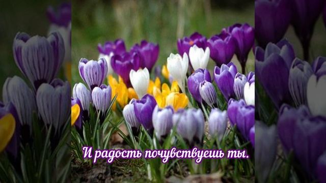 Красивое Поздравление с Днём Людмилы ? смотреть онлайн