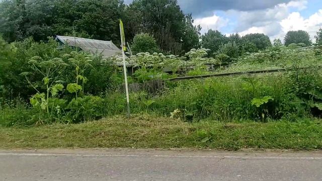 СЪЁМКА СКРЫТОЙ КАМЕРОЙ ?/ДЕРЕВНИ ПОГИБАЮТ/БЕЗОТВЕТСТВЕННЫЕ ХОЗЯЕВА