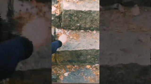 НАСТОЯЩИЙ ЕКАТЕРИНБУРГСКИЙ КОЛИЗЕЙ! ДРЕВНЯЯ ГРЕЦИЯ В РОССИИ! МАСОЧНЫЙ РЕЖИМ В ЕКАТЕРИНБУРГЕ! СЮД! смотреть онлайн