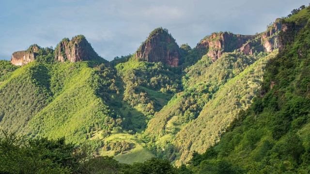 Richard Burmer. Across The View