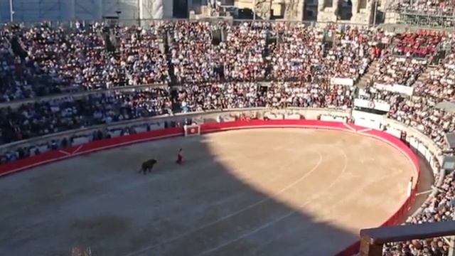 Карида во Франции. 17. 09. 2022г. смотреть онлайн