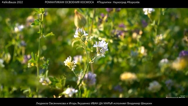 Людмила Овсянникова и Игорь Якушенко Иван да Марья исполняет Владимир Шишкин смотреть онлайн