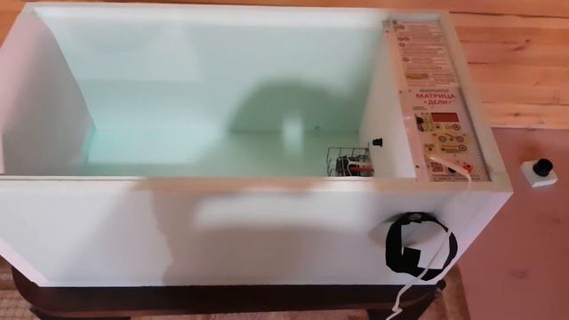 Инкубация первый опыт/ Матрица Дели /Белифельдоры смотреть онлайн