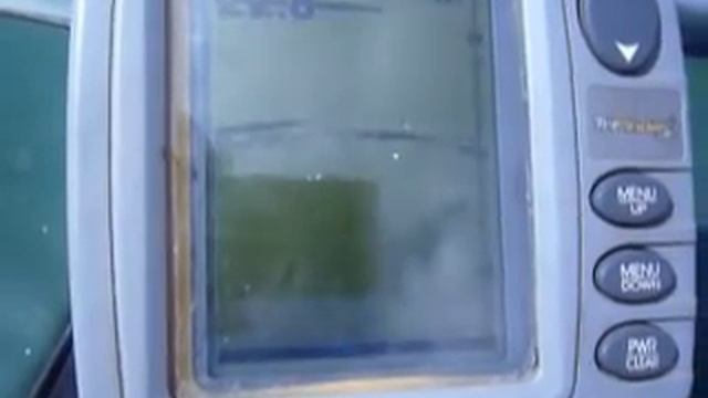 Подход сома на эхолоте смотреть онлайн