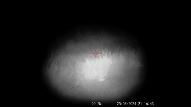 Прицел цифровой Veber DigitalHunt RF50X6-36