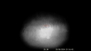 Прицел цифровой Veber DigitalHunt RF50X6-36