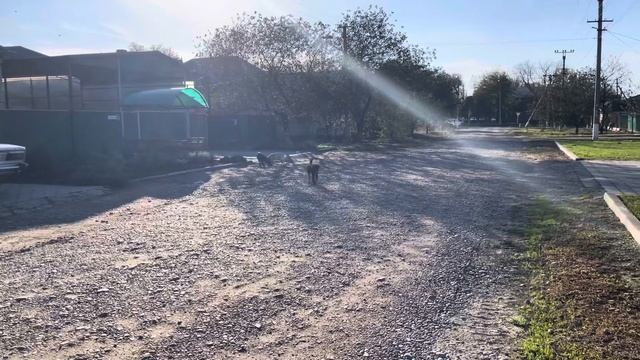 Гости из Другого Мира…????? смотреть онлайн