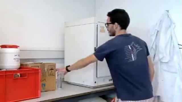 La vida en la arena смотреть онлайн