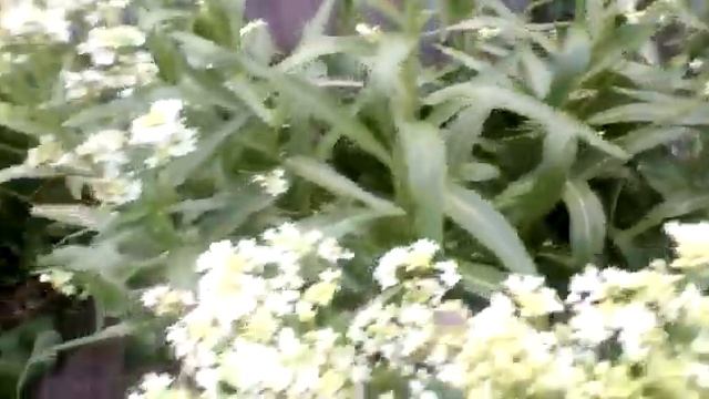 Лайфхаки для Красоты и Здоровья