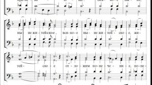 🎼 Херувимская песнь, Ковальджи №12 (сопрано)