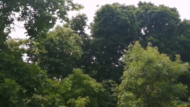 Душа поэта смотреть онлайн