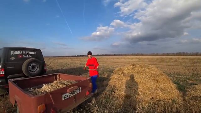 ПОМОГАЕМ т.ТАНЕ \ ПРИЦЕП ВЫРУЧАЕТ В ДЕРЕВНЕ \ ЗАПАСЛИСЬ НА ЗИМУ \ ДОМ В ДЕРЕВНЕ